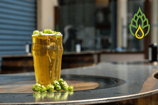 From Farm to Brew: The Journey of Our Premium Hop Extract