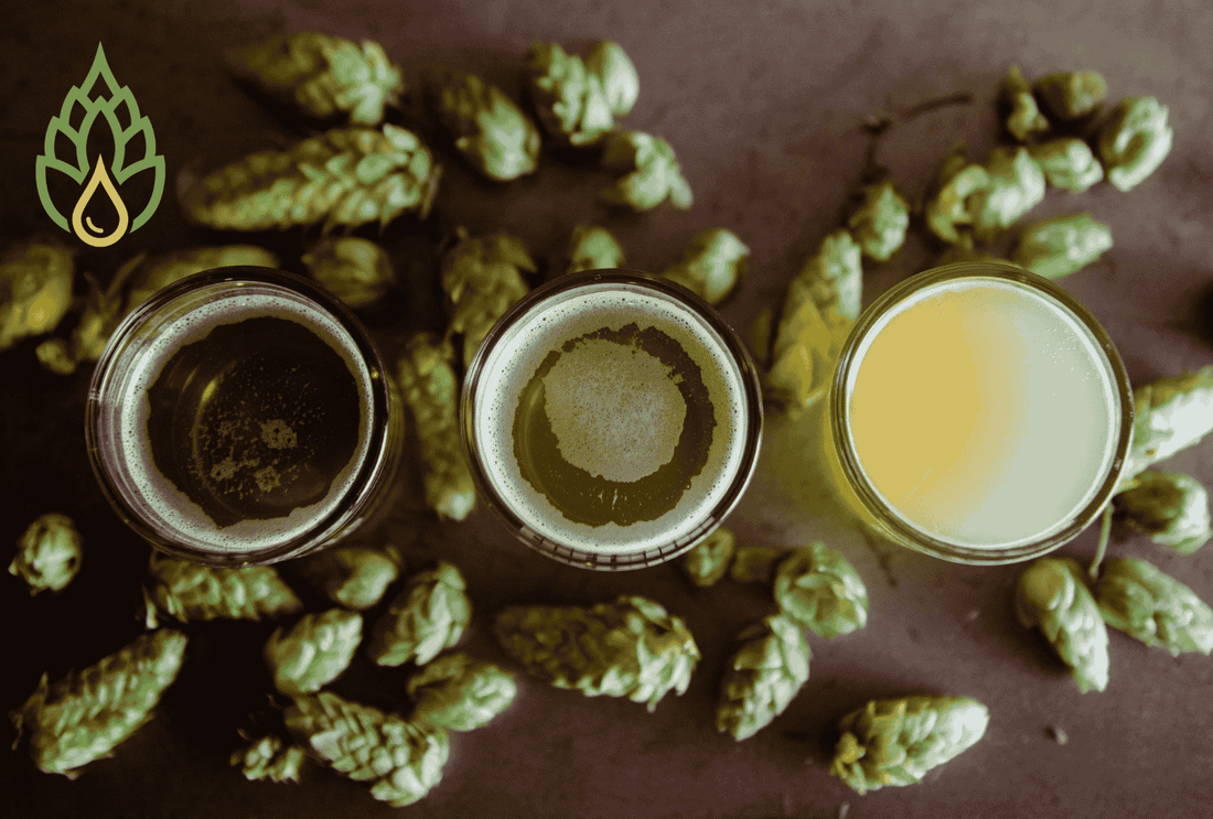 Behind the Craft: How we Make our Liquid Hops