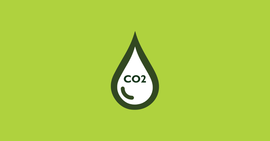 CO2 Hop extract: The first step in liquid hop usage