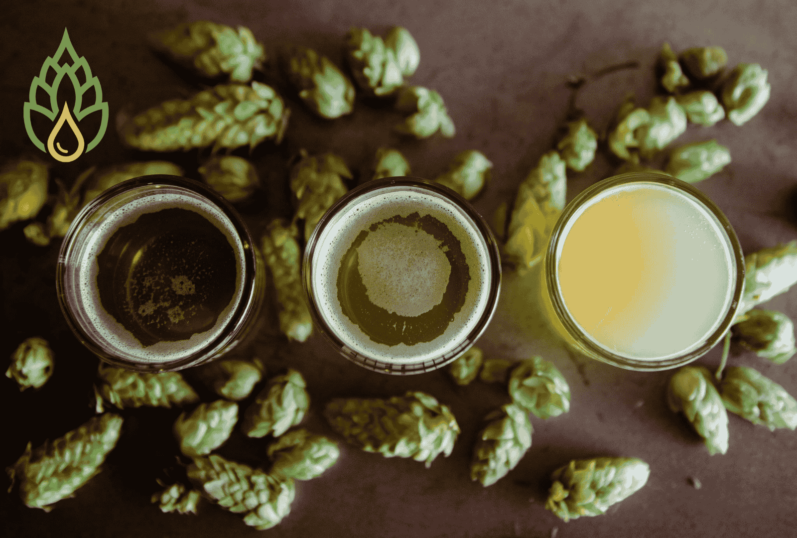 Behind the Craft: How we Make our Liquid Hops – JRM Products Ltd